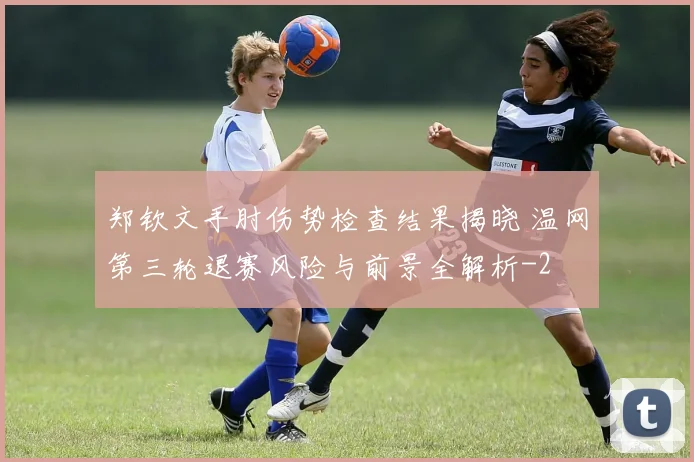郑钦文手肘伤势检查结果揭晓 温网第三轮退赛风险与前景全解析