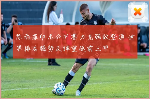 陈雨菲印尼公开赛力克强敌登顶 世界排名强势反弹重返前三甲